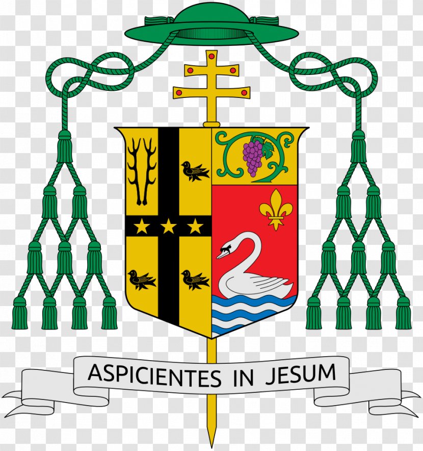 Roman Catholic Archdiocese Of New Orleans Archbishop Prelate - United States - Tree Transparent PNG