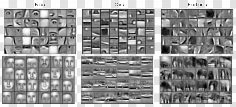 Deep Learning Convolutional Neural Network Feature Autoencoder Artificial - Generative Adversarial Networks Transparent PNG