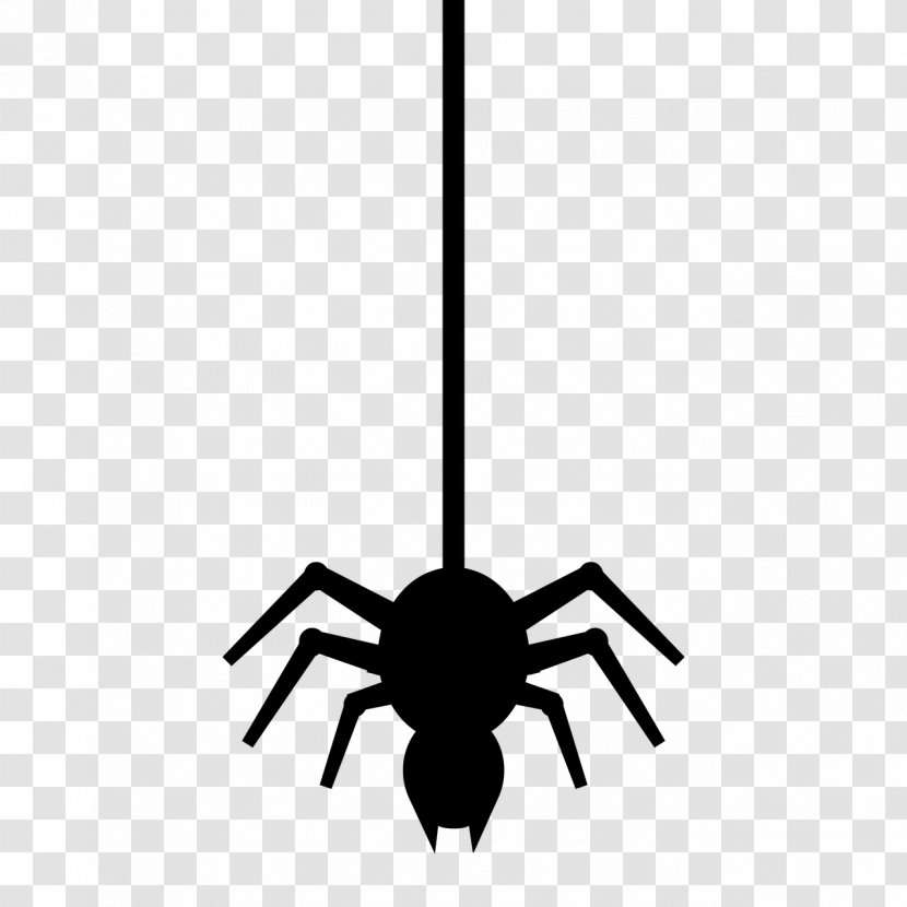 Spider Web - Ceiling - Tarantula Logo Transparent PNG