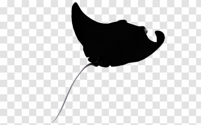 Manta Ray Myliobatoidei Clip Art - Internet Forum Transparent PNG