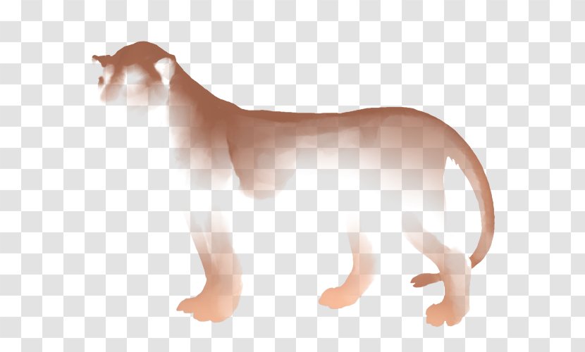 Whiskers Lion Cat Mane Hyena - Skin - Drizzle Transparent PNG