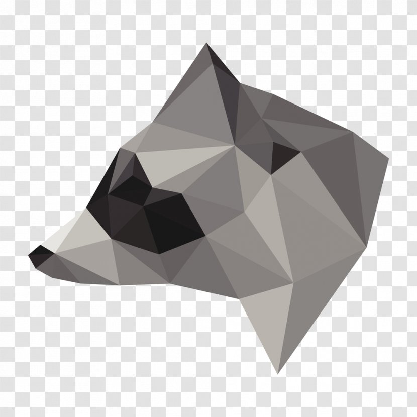 Triangle Raccoon Vector Graphics Geometry Euclidean Transparent PNG