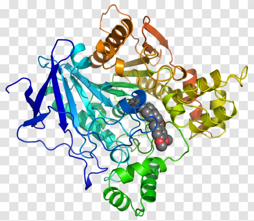 Acetylcholinesterase Protein Structure Donepezil Biochemistry - Watercolor - Nerve Transparent PNG
