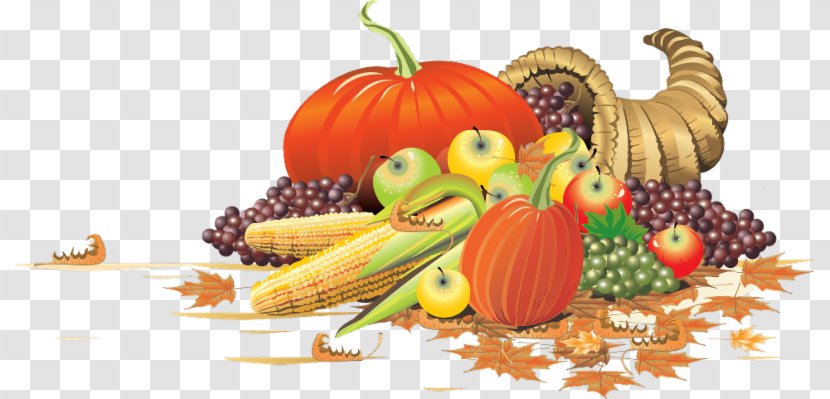 Cornucopia Thanksgiving Zeus Clip Art - Pilgrims Transparent PNG