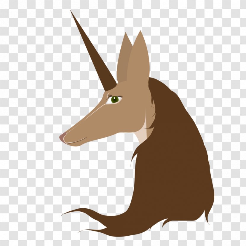 Canidae Hare Dog Kangaroo Snout - Wildlife Transparent PNG