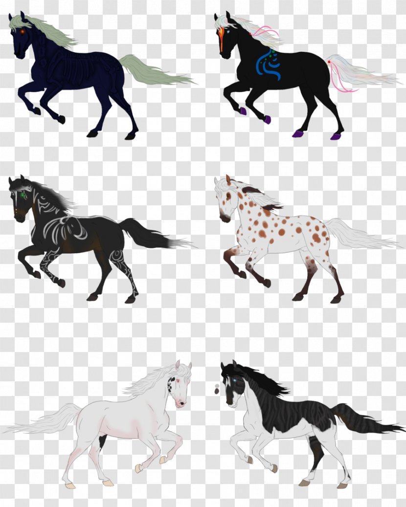 Mustang Pony Stallion Rein Mane - Horse Like Mammal - Not For Sale Transparent PNG