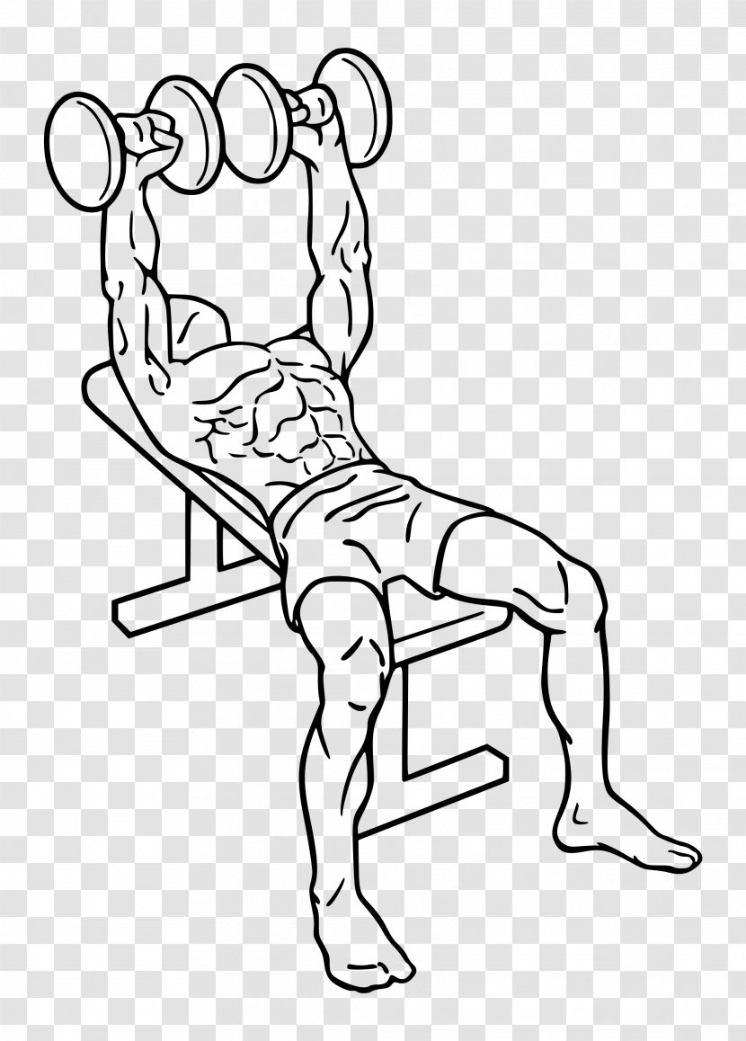 Bench Press Dumbbell Fly Barbell - Watercolor Transparent PNG