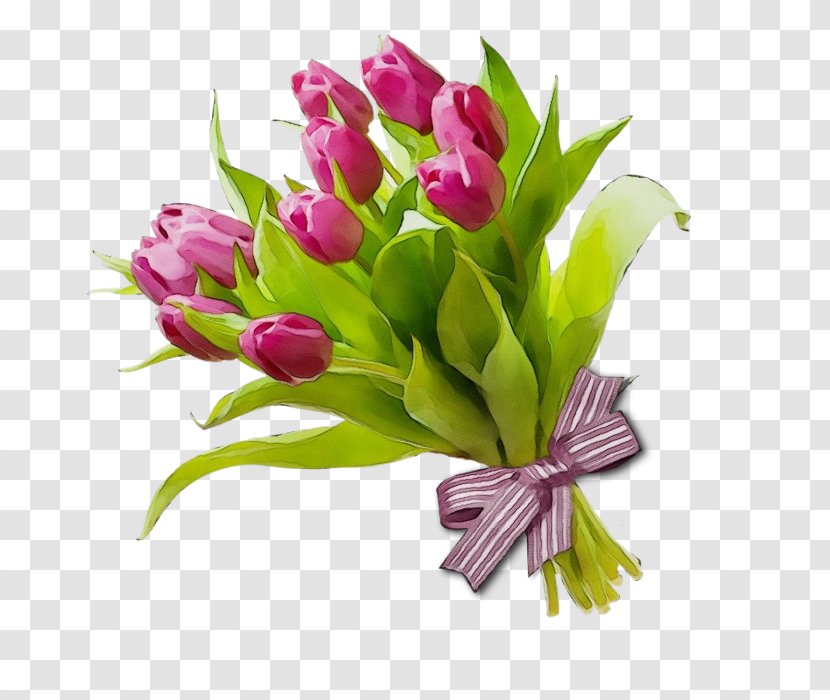 Flower Flowering Plant Cut Flowers Pink - Leaf - Tulip Transparent PNG