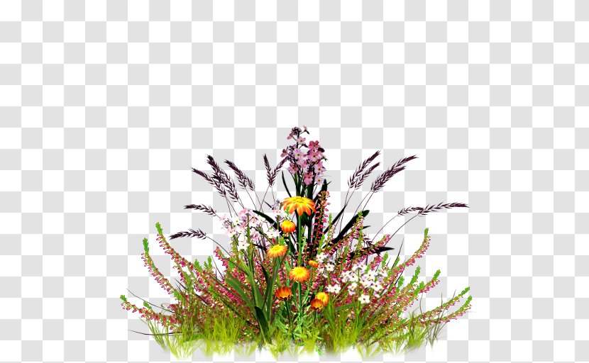 Cut Flowers Floral Design DeviantArt YouTube - Grass - Runner Transparent PNG