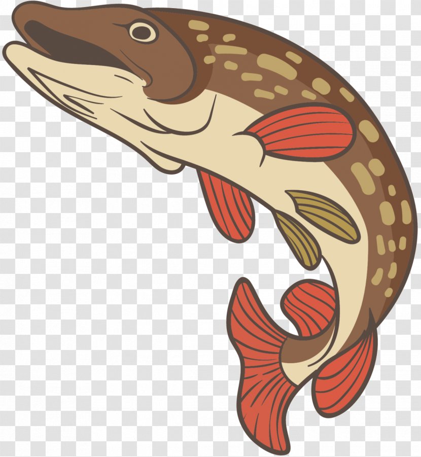 Clip Art Illustration Fish Fauna - Trout Transparent PNG