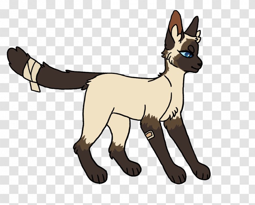 Cat Dog Breed Red Fox Mammal - Kangaroo Transparent PNG