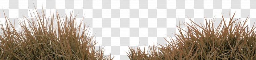 Grass Gratis Download - Lawn - Brown Simple Decoration Pattern Transparent PNG