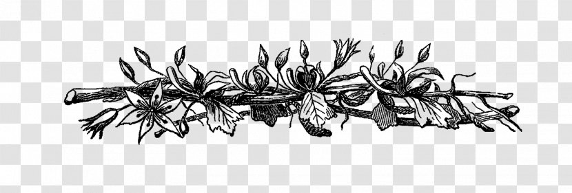 Garlic Bread Black And White Clip Art - Rustic Flowers Transparent PNG