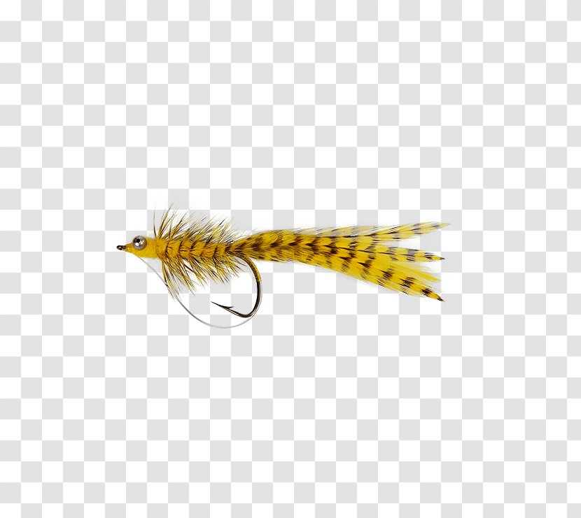 Woolly Bugger Roundworms Fly Fishing Bait - Sorting Algorithm - Mount Holly Springs Transparent PNG