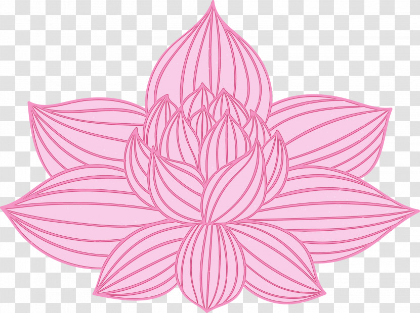 Lotus Transparent PNG