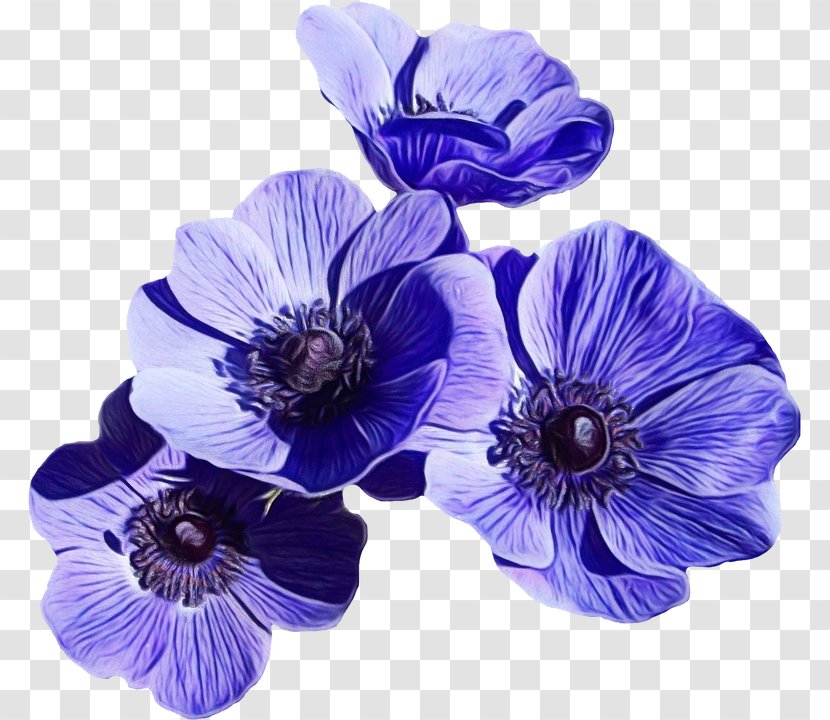 Artificial Flower Blue Cut Flowers Lily - Doubtful Knightsspur Transparent PNG