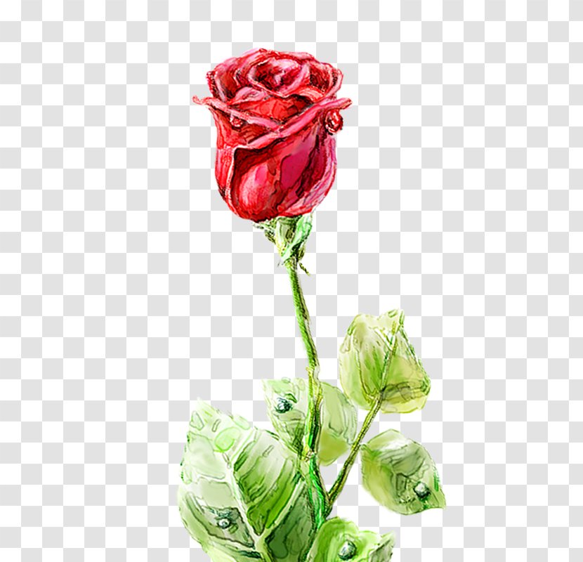 Garden Roses Centifolia Floral Design Vase Cut Flowers - Rose Transparent PNG