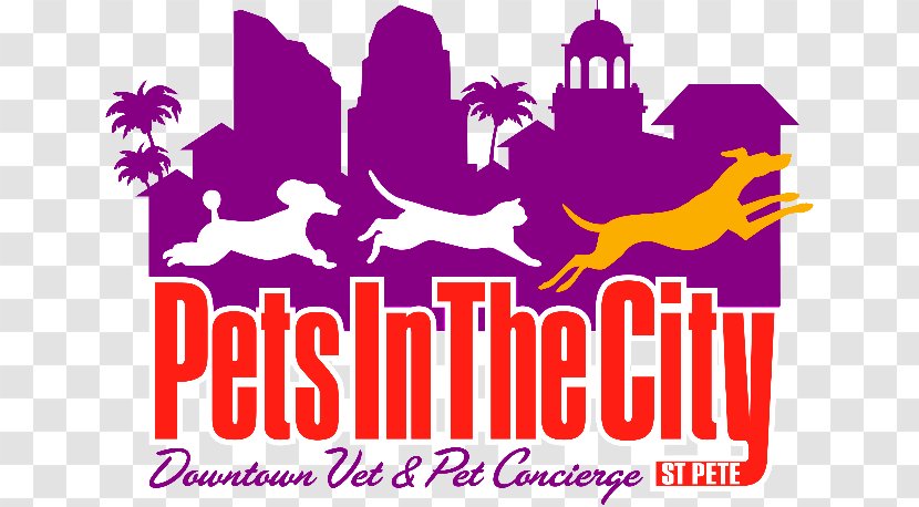 Pets In The City St Pete Northeast Animal Hospital Dog Veterinarian - Florida - St-petersburg Transparent PNG