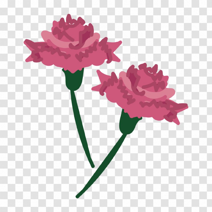 Carnation Garden Roses Mother's Day - Plant Stem - Design Transparent PNG