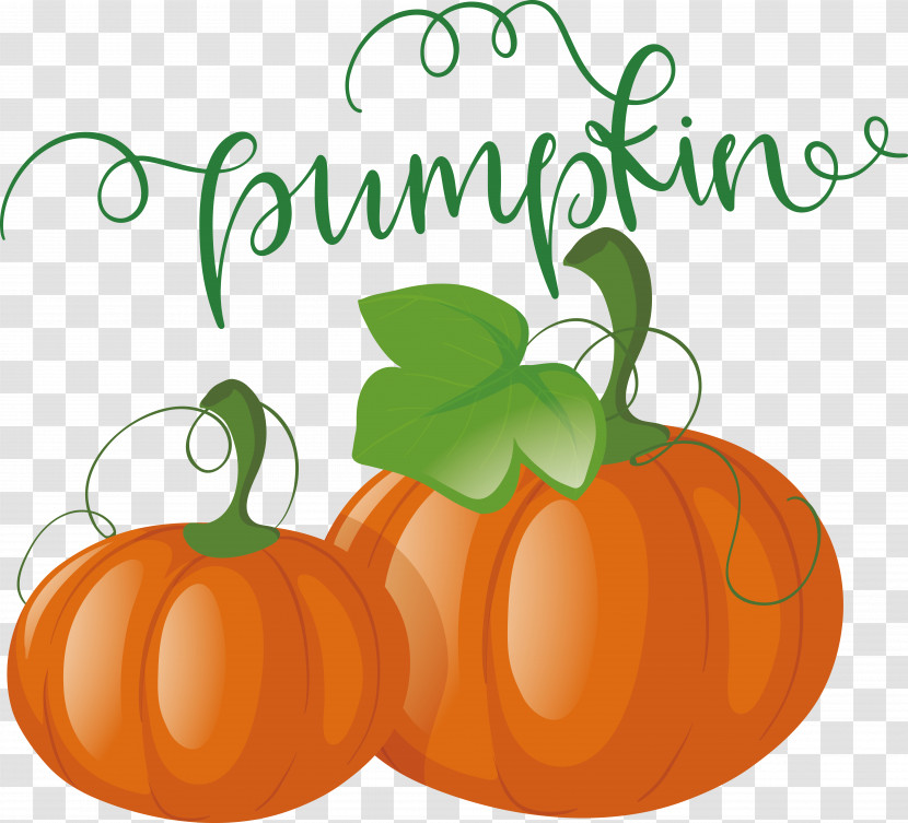 Pumpkin Transparent PNG