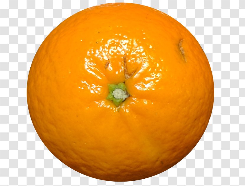 Clementine Tangerine Mandarin Orange Tangelo - Calabaza Transparent PNG