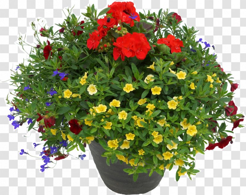 Fundraising Flowerpot Houseplant - Garden Transparent PNG