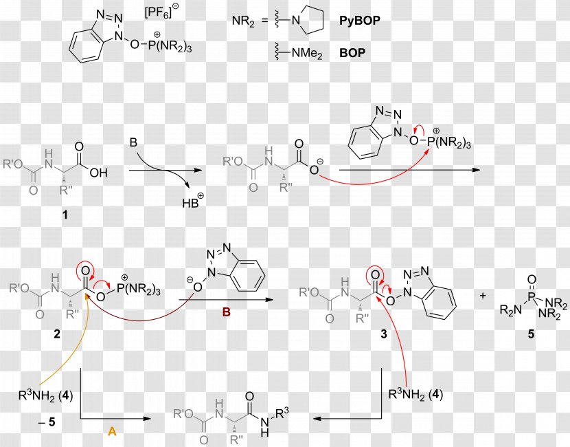 Thumbnail Chemical Synthesis Amide Total PyBOP - Wikimedia Commons Transparent PNG