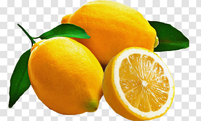 Cartoon Lemon - Citrus - Pomelo Calamondin Transparent PNG