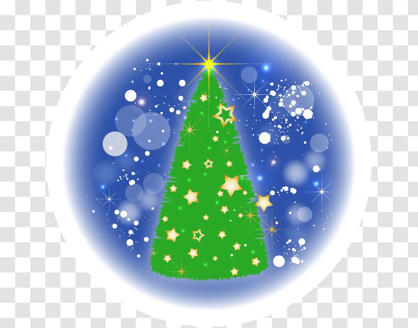 Christmas Tree With Star. - Holiday - Pine Family Transparent PNG