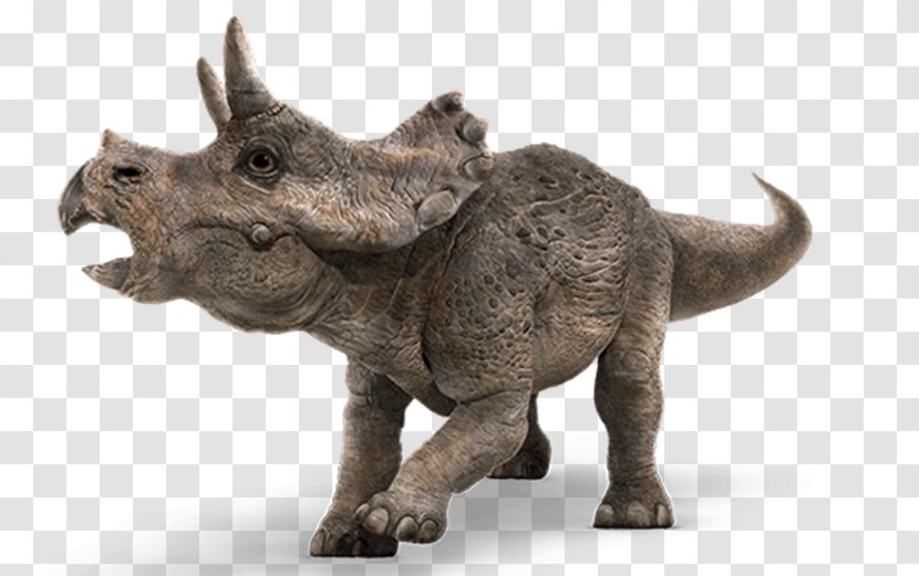Tyrannosaurus Apatosaurus Dinosaur Jurassic Park Isla Nublar - Snout Transparent PNG
