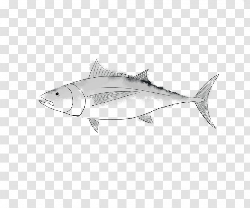 Albacore Yellowfin Tuna Fish Atlantic Bluefin Seafood - Sablefish - Cartilaginous Transparent PNG