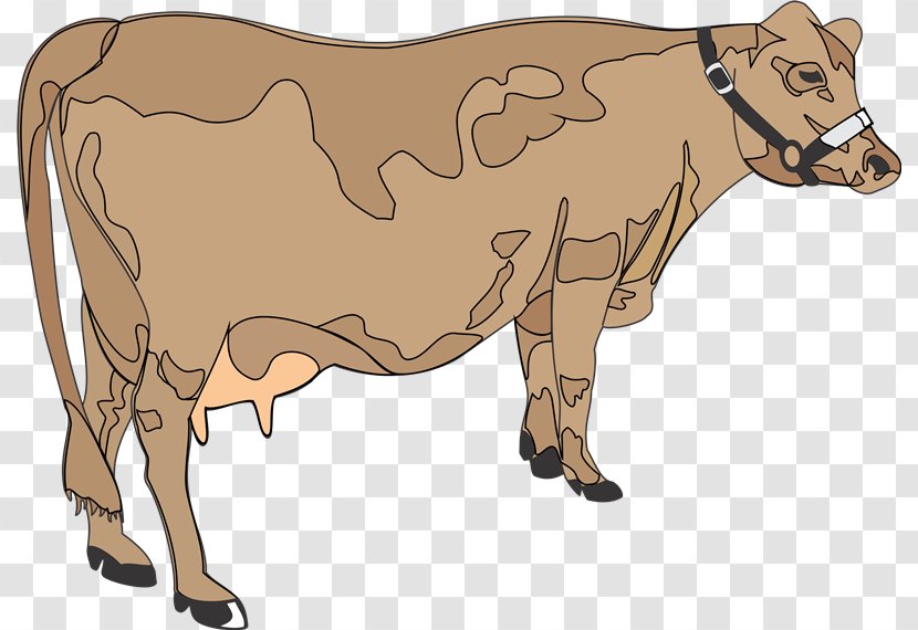 Dairy Cattle Ox Taurine Bull Clip Art - Cow - Vacas Transparent PNG