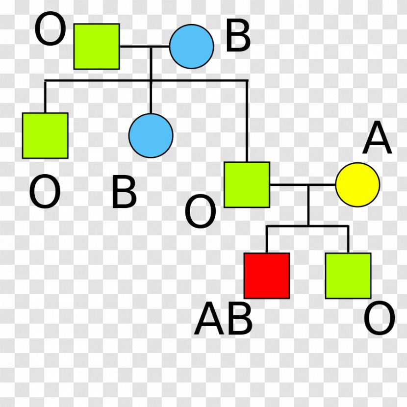 Hh Blood Group Type Human Systems Antigen Rh System Transparent PNG