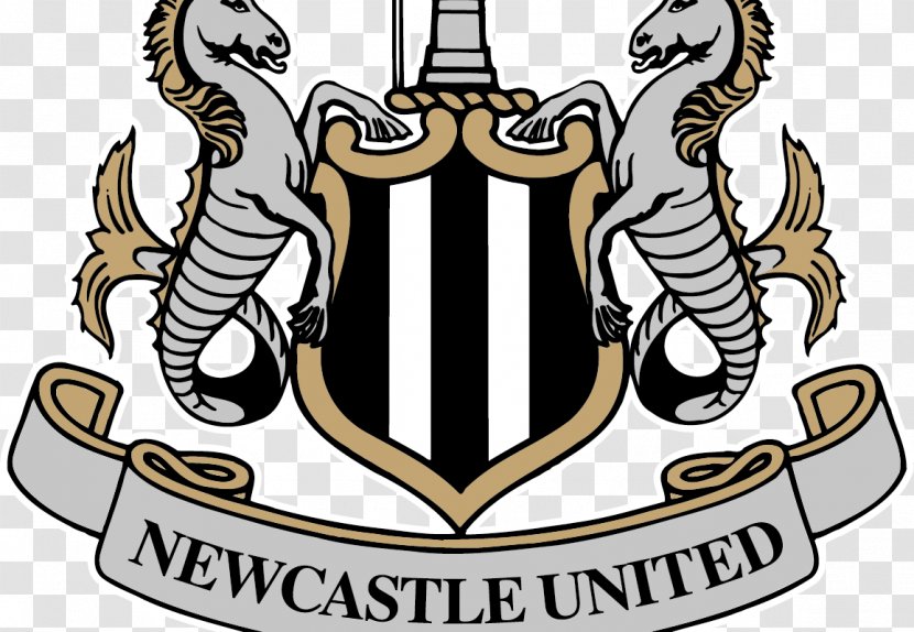 Newcastle United F.C. St James' Park Premier League English Football EFL Championship - Association Manager Transparent PNG