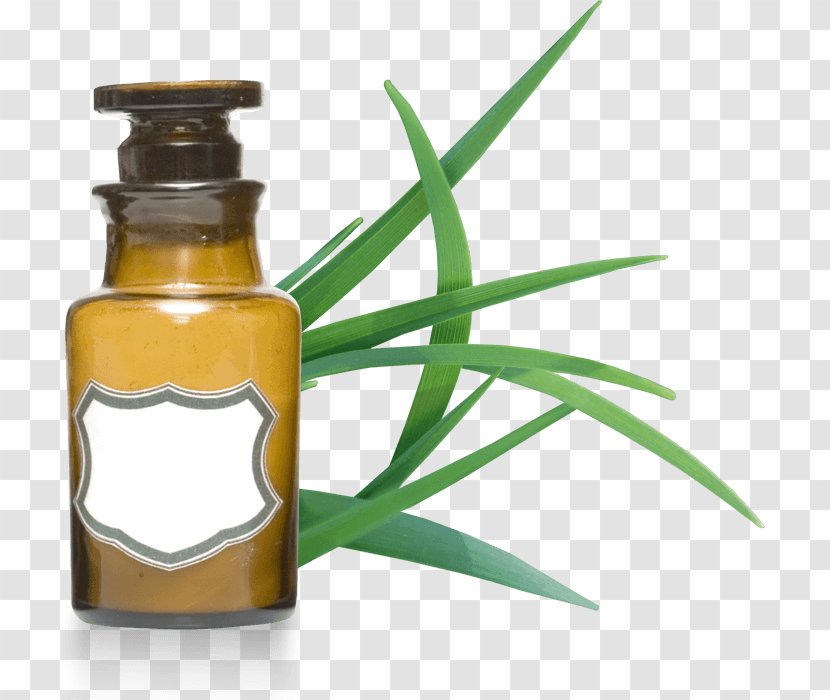 Organic Food Essential Oil Cymbopogon Citratus Martinii Transparent PNG