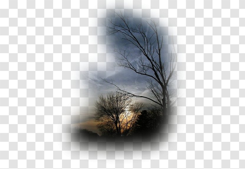 Landscape Desktop Wallpaper Nature - Blog - Paisajes Transparent PNG