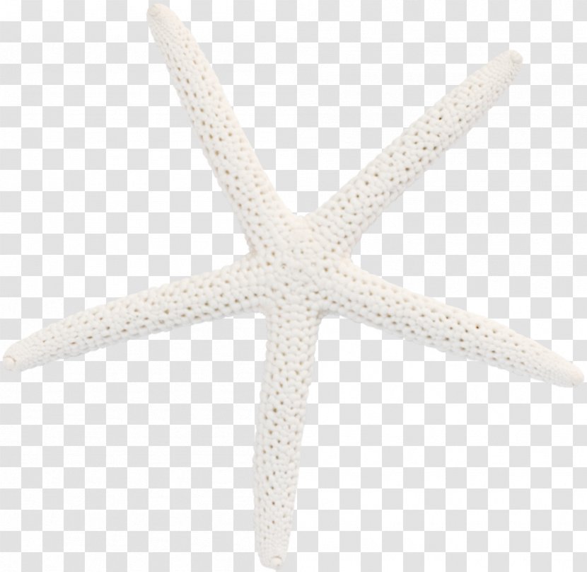 Starfish Pattern - White Transparent PNG
