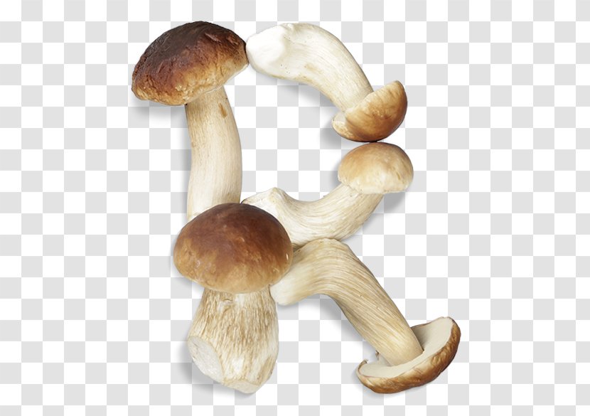 Pleurotus Eryngii Shiitake Agaricaceae - Food Letter H Transparent PNG