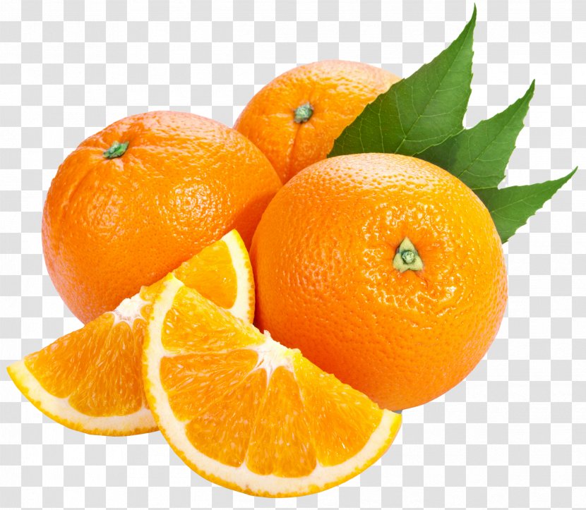 Bitter Orange Tangerine Clip Art - Fruit Free Image Transparent PNG