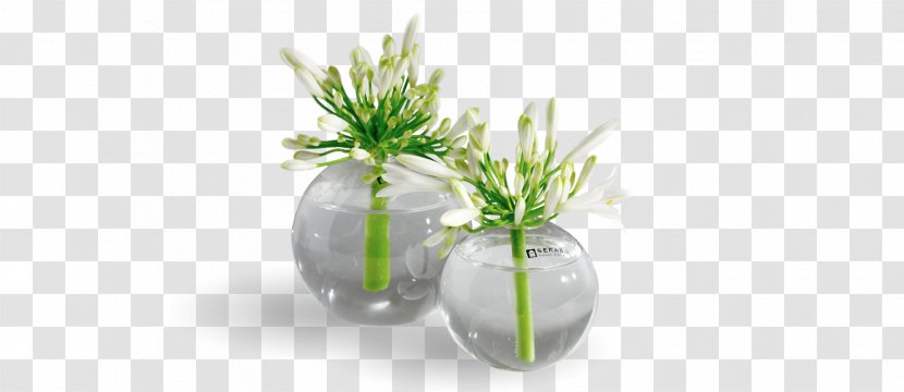 Vase Glassblowing Flowerpot Lead Glass Transparent PNG