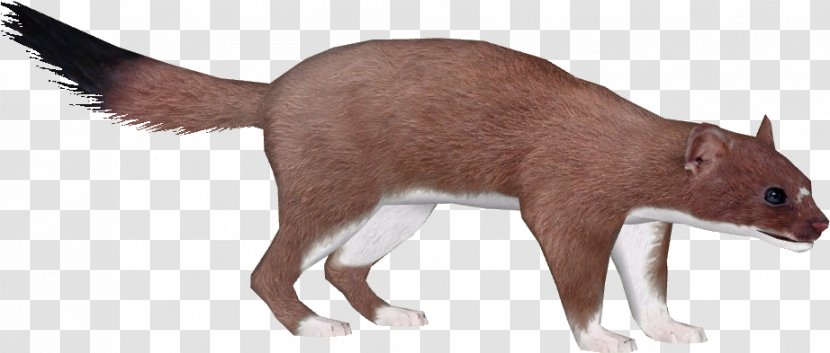 Animal Figure Tail Recreation Wildlife Liver - Fur Transparent PNG