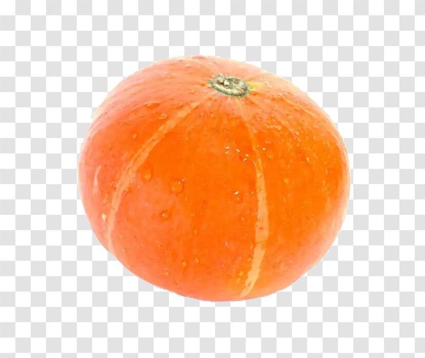 Clementine Calabaza Blood Orange Gourd Winter Squash - A Pumpkin Transparent PNG