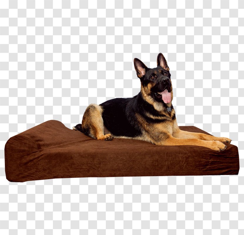 Sofa Bed Pillow Table Couch - Leash Transparent PNG
