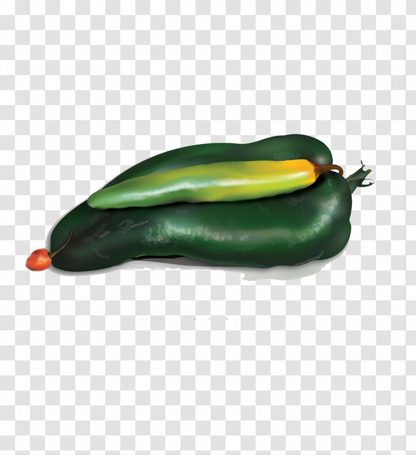 Serrano Pepper Bell Pasilla Chili - Vegetarianism - Large And Small Green Transparent PNG