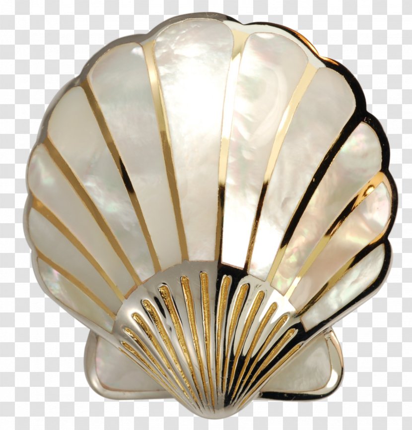 Seashell Pearl Nacre Scallop - Coin - Pearls Transparent PNG