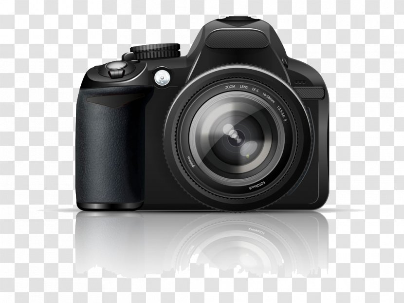 Digital Camera Photography Single-lens Reflex - Cameras Optics - Black SLR Transparent PNG