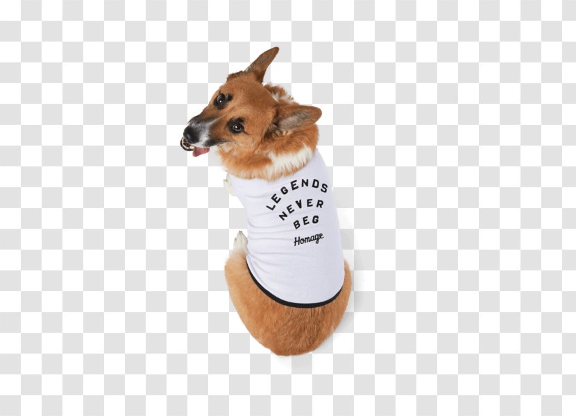 Dog Breed Puppy Companion Clothes - Like Mammal - Appreciation Day Transparent PNG