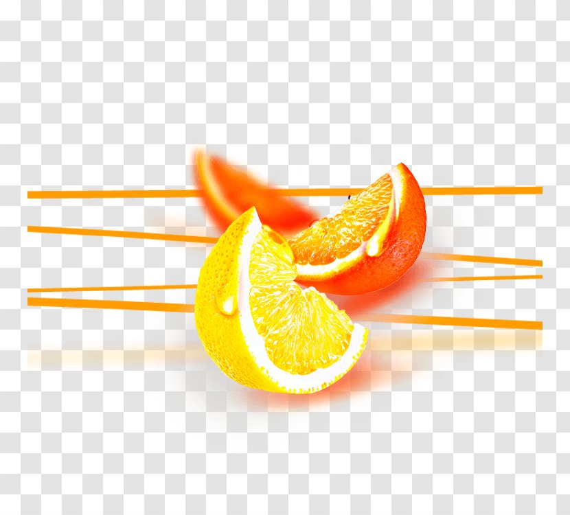 Orange Juice Cocktail Lemon - Citrus Transparent PNG