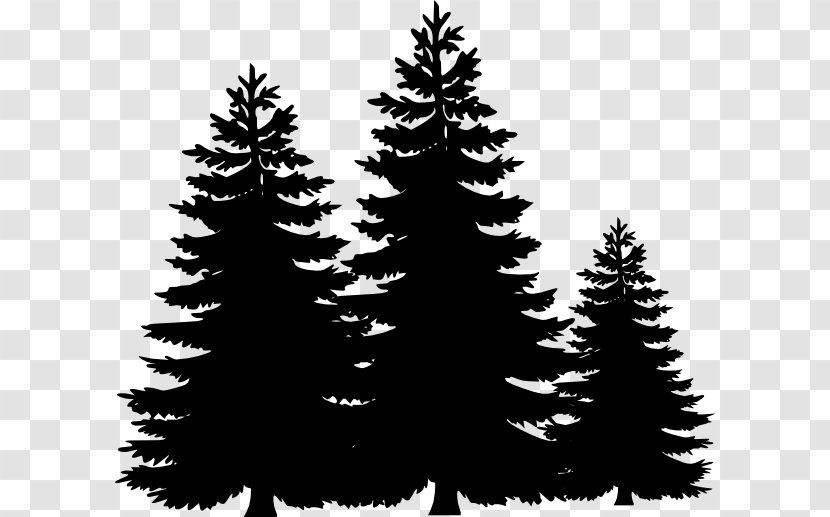 Christmas Black And White - Tree - Temperate Coniferous Forest Sprucefir Transparent PNG