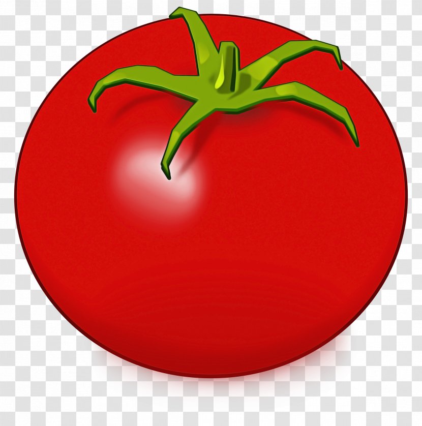 Tomato - Solanales - Nightshade Family Transparent PNG